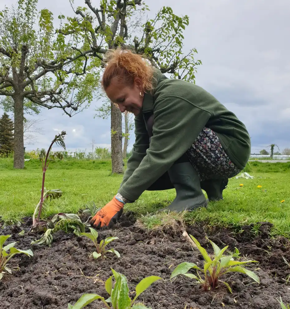Nicole Trompetter die in haar tuin planten aan het planten is.